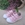 Batilas Pink Stars Canvas Shoes with Toe Cap - Image 1