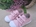 Batilas Pink Stars Canvas Shoes with Toe Cap - Image 1