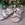 Beberlis Gold-Taupe girl sandal - Image 1