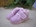 Candy Pink Girl House Slippers - Image 1