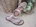 Eli Cow Leather Sandal - Image 2