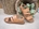 Eli Girl Leather Sandal - Image 1