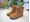 Eli Girl's Leather Country Boot - Image 1