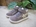 Geox Baby Girl's Trainer Trottola Taupe - Image 2