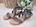 Kaola Black Studded Sandal - Image 1