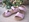 Primigi Girl Pink Sandal - Image 1