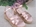Ruth Secret Bronze Leather Wedge Sandal - Image 1