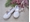 Ruth Secret Girl's Ballet Flats Rustic Linen with Ribbons - Image 1