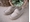 Taupe Boy's Velcro Moccasin Sweets - Image 1